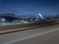 Barcelona Night View: City Lights and The Bridge