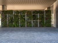 Barcelona: A Profile of Modern Architecture with a Vertical Garden