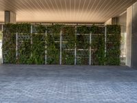 Barcelona: A Profile of Modern Architecture with a Vertical Garden