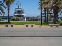 Barcelona's Road: Clear Sky and Palm Trees