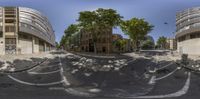 a wide angle view of a tree on the street between buildings in barcelona, spain