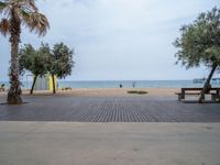 Barcelona, Spain: Coastal Concrete and Palm Trees