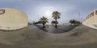 a fish eye lens shot of a street scene with buildings and palm trees in the background