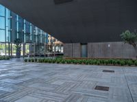 an outside area of building with a large planter in the middle of it and a glass roof