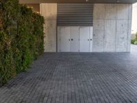 Barcelona's Urban Landscape: Concrete Wall with a Vertical Garden