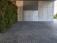 Barcelona's Urban Landscape: Concrete Wall with a Vertical Garden