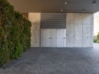 Barcelona's Urban Landscape: Concrete Wall with a Vertical Garden