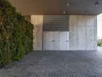 Barcelona's Urban Landscape: Concrete Wall with a Vertical Garden