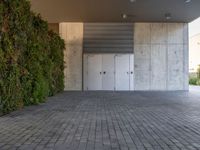 Barcelona's Urban Landscape: Concrete Wall with a Vertical Garden