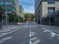 a city street with empty benches and tall buildings on the side of it and trees along the sidewalk