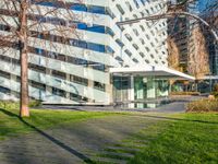 an open courtyard area has green grass, trees, and buildings on the other side