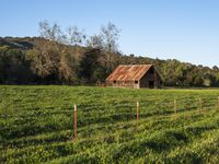 a barn on the edge of a large open field on a clear day with a brown tin roof