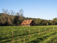 a barn on the edge of a large open field on a clear day with a brown tin roof