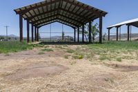 a barn with an open roof is located in a field of dry grass and a grassy area behind it