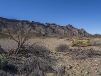 a dry, barren area with mountains in the background of the photo, and a small tree branch on the ground