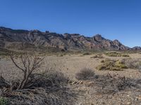 a dry, barren area with mountains in the background of the photo, and a small tree branch on the ground