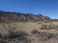 a dry, barren area with mountains in the background of the photo, and a small tree branch on the ground