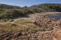 rocks and grass on the shoreline in a barren area, with a beach in the background