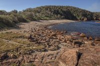 rocks and grass on the shoreline in a barren area, with a beach in the background