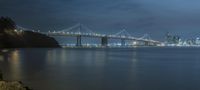 the bay bridge in san francisco, california is lit up at night from a nearby cliff