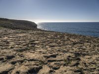 a person walking on a sandy beach near the ocean with a dog on it's leash