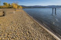 a beach next to a river covered in yellow leaves and trees in fall color in autumn season