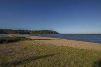 a beach with trees on a clear sunny day in the background, with water and bushes in the foreground