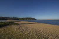 a beach with trees on a clear sunny day in the background, with water and bushes in the foreground