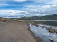 Beach and Lake in Colorado: A Scenic Nature Escape