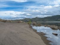 Beach and Lake in Colorado: A Scenic Nature Escape