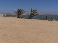 Coastal Landscape in South Africa: A Stunning Beach View