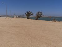 Coastal Landscape in South Africa: A Stunning Beach View