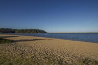 Beach and Nature: Recreation in the Midst of Lush Vegetation