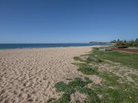 a sandy beach with a grassy area and blue water in the distance with grass, trees, and shrubs on the edge