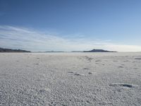 A Serene Landscape: Beach, Shore, Ocean, and Sea