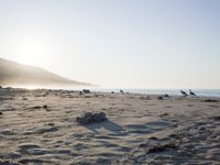 the sunlight shines brightly on a beach and the sand looks like it could have been washed down in time