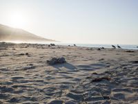 the sunlight shines brightly on a beach and the sand looks like it could have been washed down in time