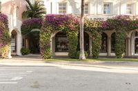 there is a street corner near a store with flowers on the side and trees on both sides and palm trees in front