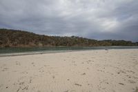 a beach is surrounded by water and trees in the distance is the sand that is empty