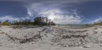 a beach has many sand and brush in it with trees on both sides of the beach