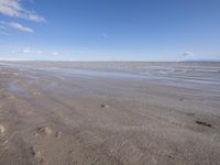 Utah Coastal Beach Landscape with Clear Sky