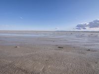 Utah Coastal Beach Landscape with Clear Sky