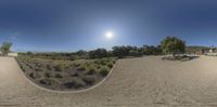 a fish eye view shows a driveway and grass at the beachside, and there are trees in the background