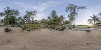 a beach side hotel with coconut trees on the shore and sand ground in front of it