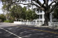 Beaufort, SC Residential Area: Beautiful Homes and Paved Streets