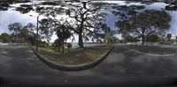 a view from the outside looking in at trees near the water and grass and the sky