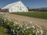 there is a white barn with flowers in the foreground and mountains in the distance