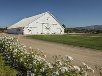 there is a white barn with flowers in the foreground and mountains in the distance