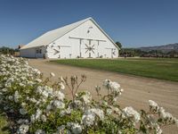 there is a white barn with flowers in the foreground and mountains in the distance