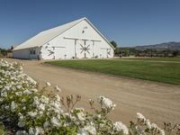 there is a white barn with flowers in the foreground and mountains in the distance